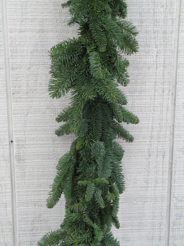 Noble Fir Garland – COALFIELD LANDSCAPE SERVICES