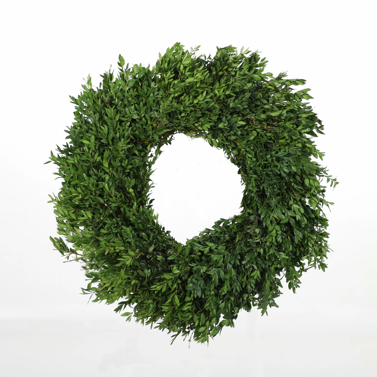 Boxwood Wreath 22"-24"