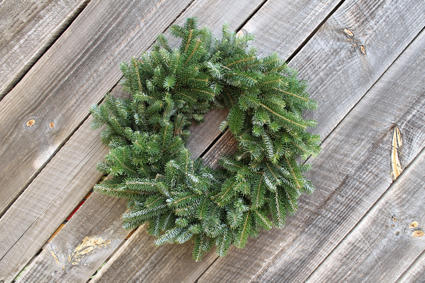 Fraser Fir Wreath 24"