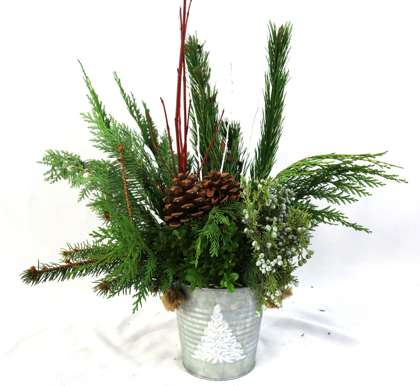 Tin Winter Planter – Compact Size