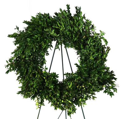 Boxwood Wreath 22"-24"
