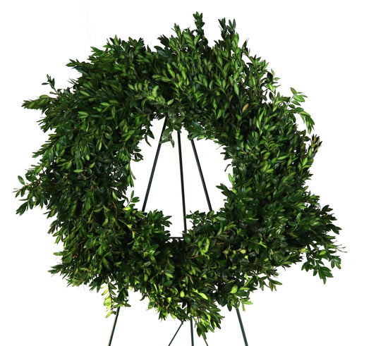 Boxwood Wreath 22"-24"