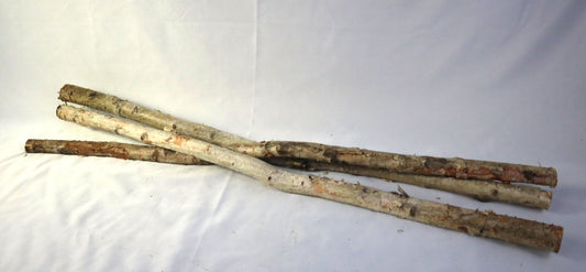 Full Birch Pole