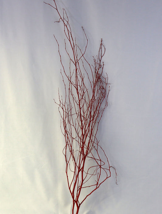 Painted Wood Stem Bundle