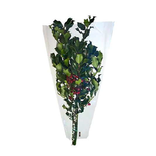 Mixed Holly 5 Stem Sleeve