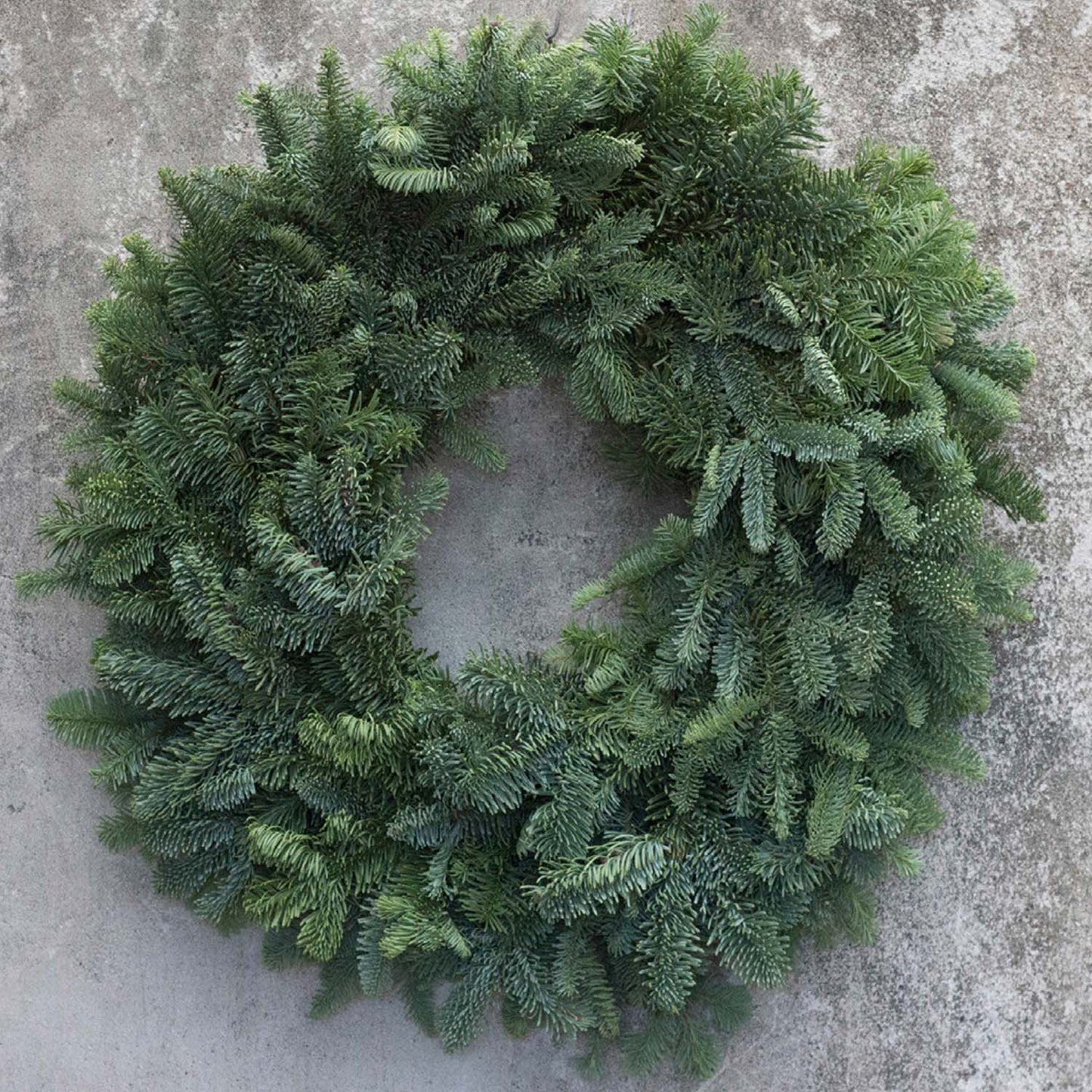 Noble Fir Wreath